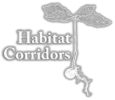 Habitat Corridors